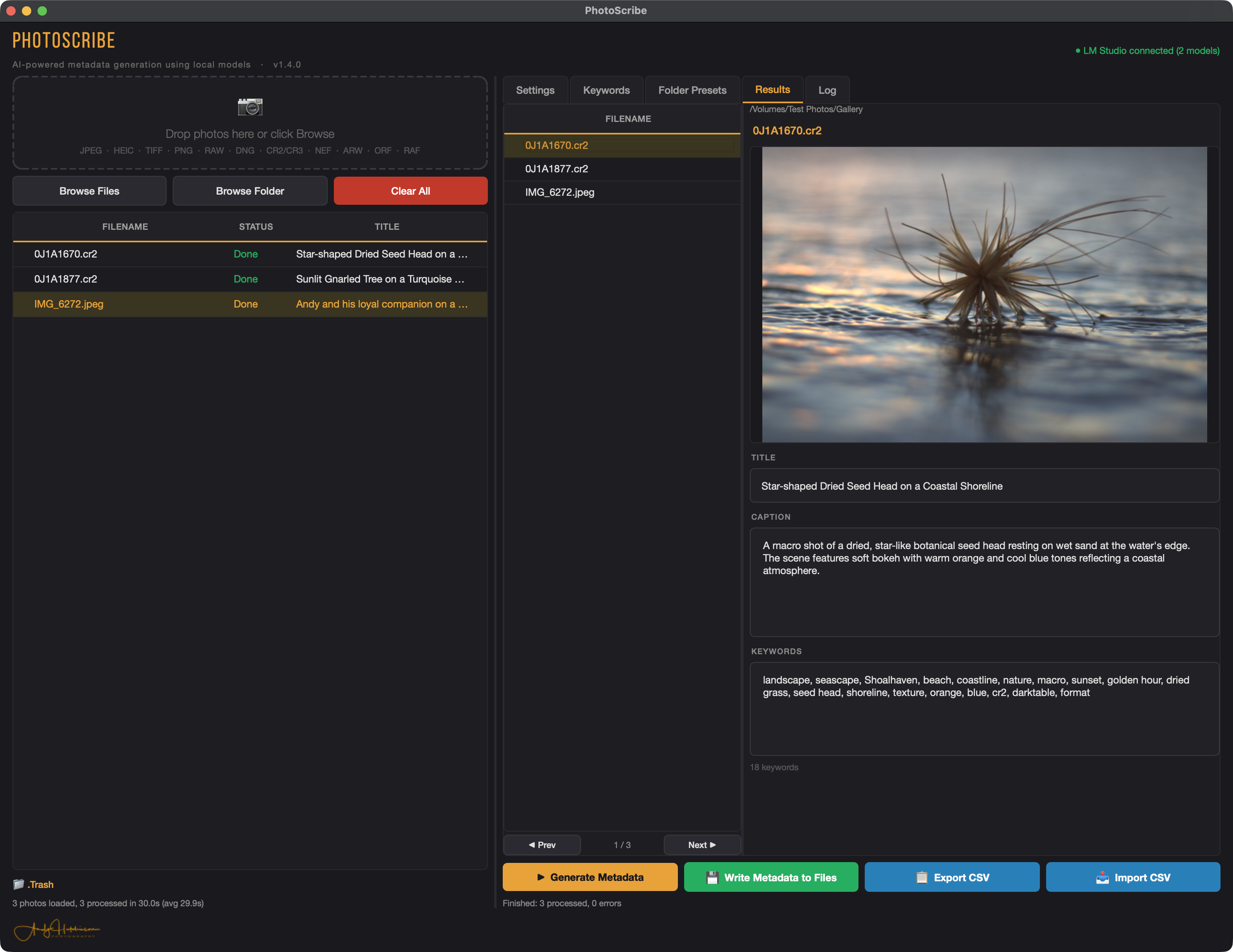 PhotoScribe generating a title, caption and keywords for a photo