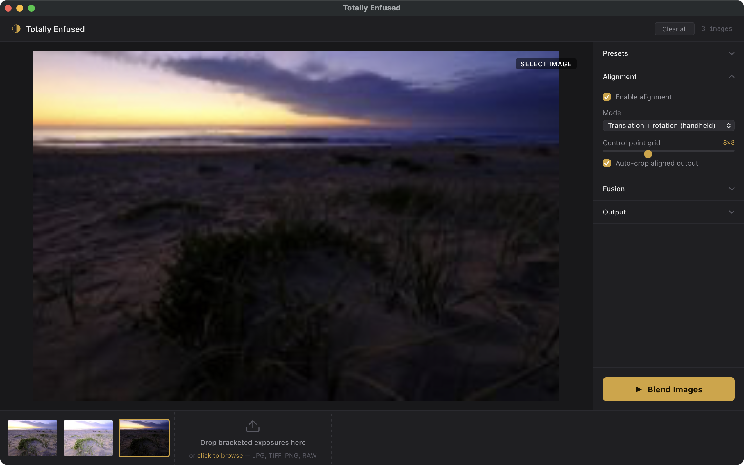 Totally Enfused app screenshot